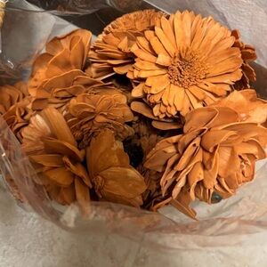 Rust Orange Sola Wood Flowers